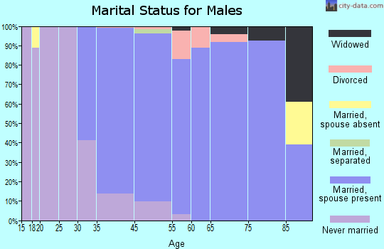 Chevy Chase marital status for males