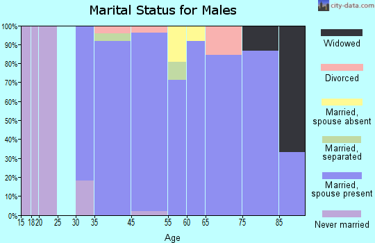 Chevy Chase Section Five marital status for males