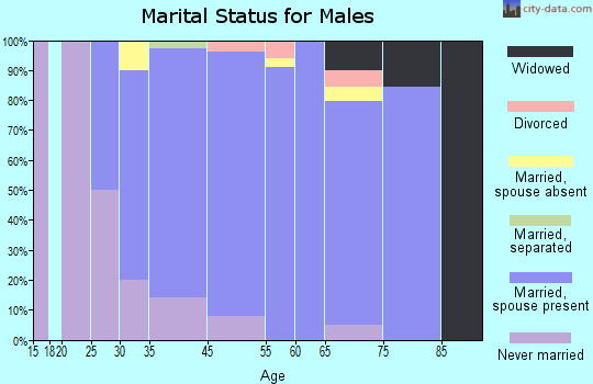 Chevy Chase Section Three marital status for males