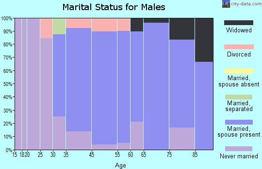 Chevy Chase View marital status for males