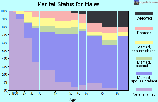 Chillum marital status for males