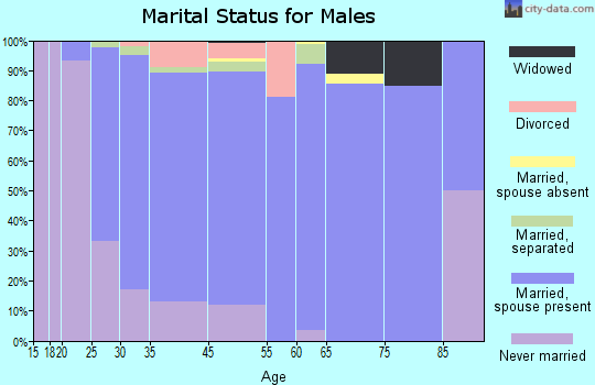 Damascus marital status for males