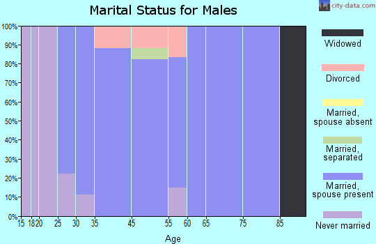 Discovery-Spring Garden marital status for males