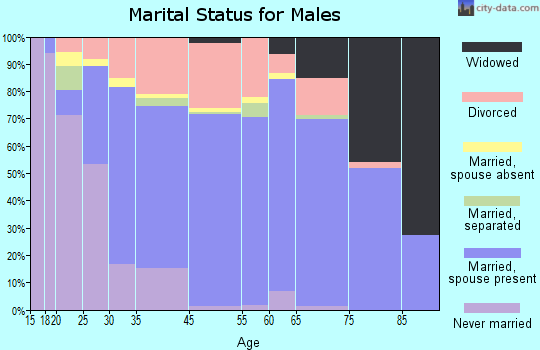 Mohave Valley marital status for males