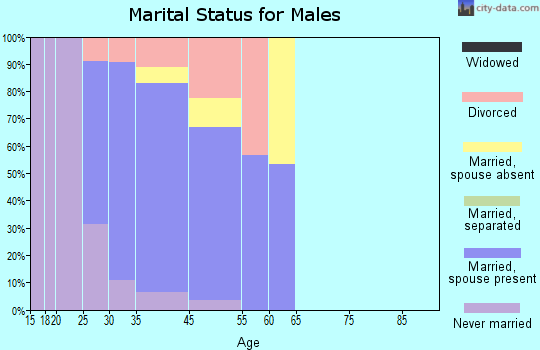 Morenci marital status for males