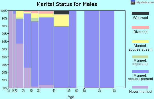 Fort Meade marital status for males