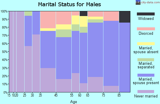 Friendship Village marital status for males