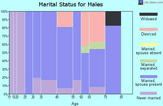 Munds Park marital status for males