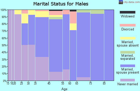 Hillandale marital status for males