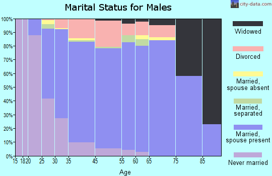 New River marital status for males