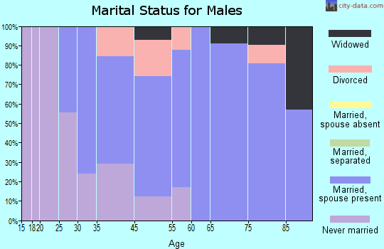 Kingstown marital status for males