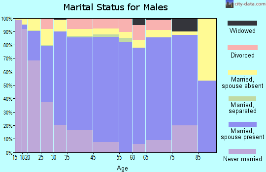 Nogales marital status for males