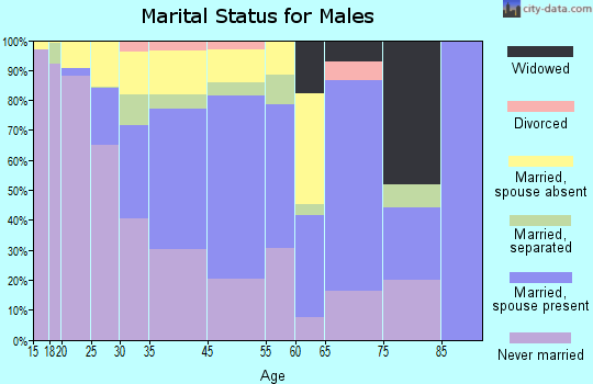 Langley Park marital status for males