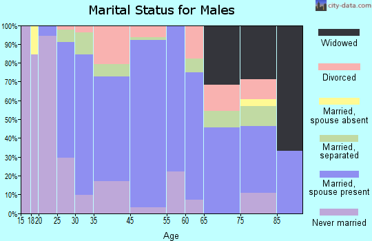 Lonaconing marital status for males