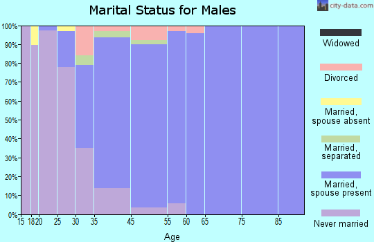 Mitchellville marital status for males