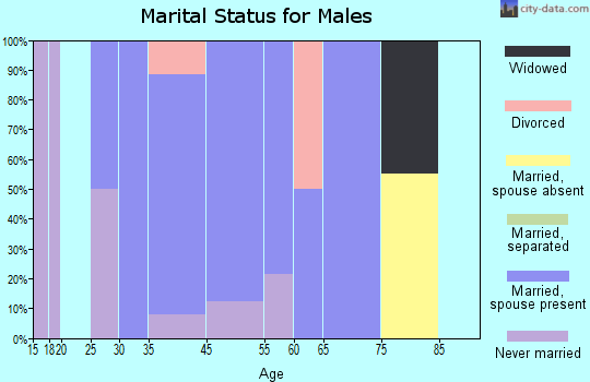 Mount Aetna marital status for males
