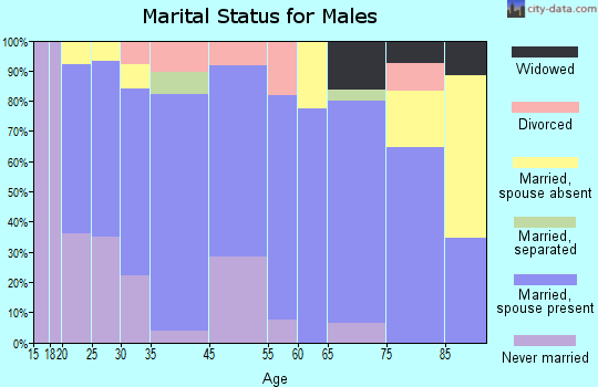 Mountain Lake Park marital status for males