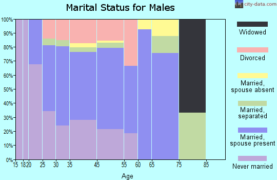 North Beach marital status for males