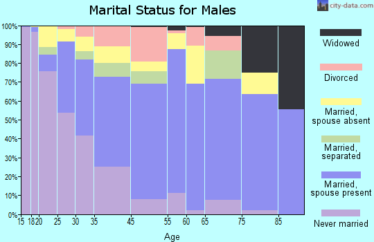 Riverdale Park marital status for males