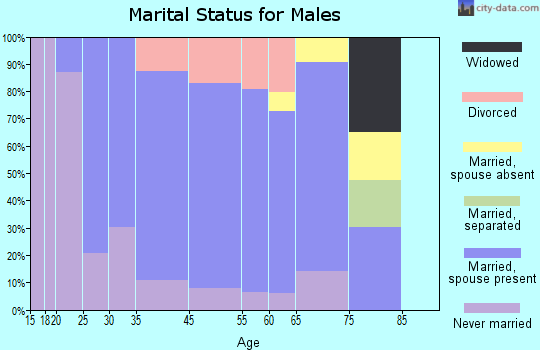 Shady Side marital status for males