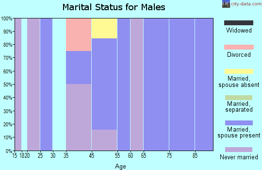 Smith Island marital status for males