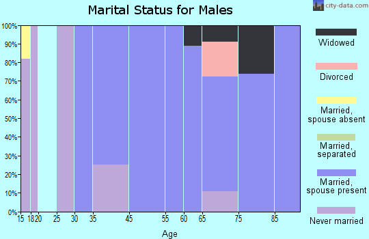 Somerset marital status for males