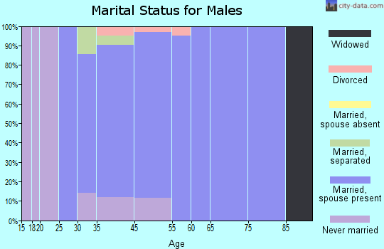Washington Grove marital status for males