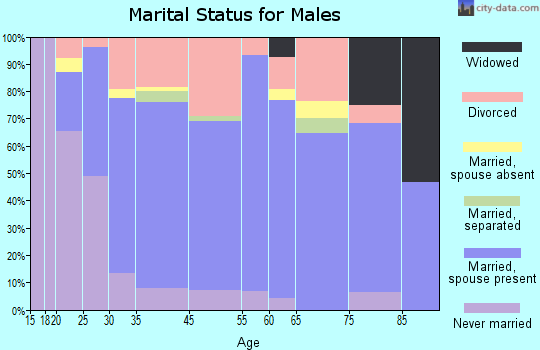 Picture Rocks marital status for males