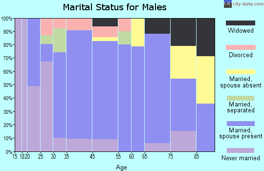 Williamsport marital status for males