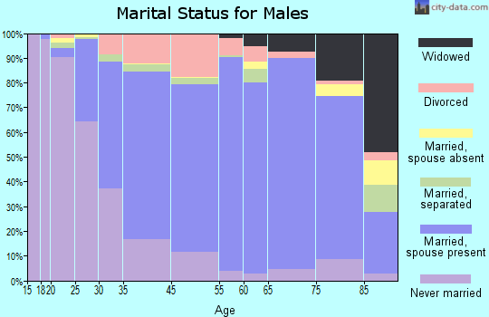 Agawam marital status for males