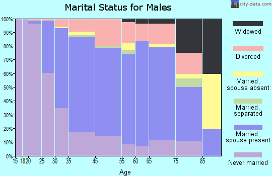 Amesbury marital status for males