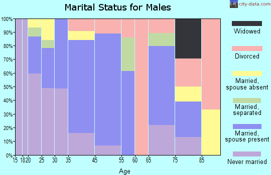 Ayer marital status for males