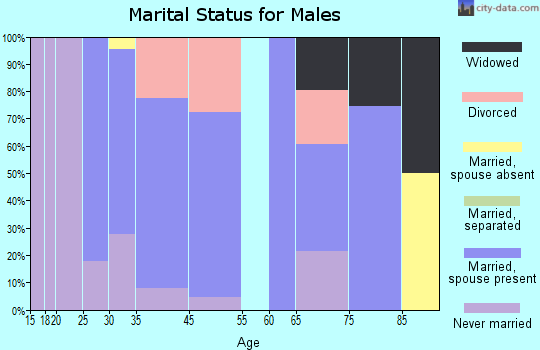 Baldwinville marital status for males