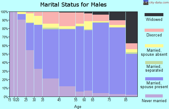 Barnstable Town marital status for males