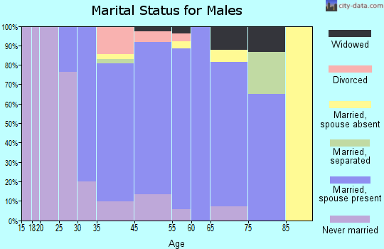 Bellingham marital status for males