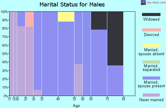 Pirtleville marital status for males
