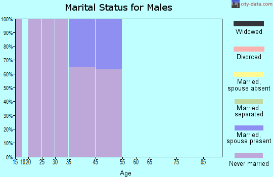 Pisinemo marital status for males