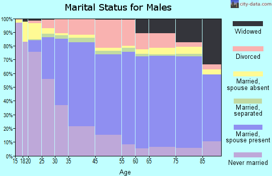 Fitchburg marital status for males