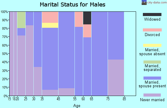 Hanson marital status for males