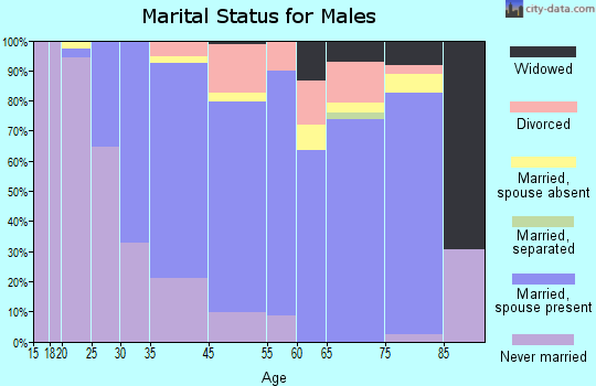 Holbrook marital status for males