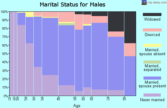 Hudson marital status for males