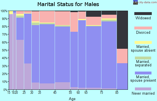 Prescott Valley marital status for males