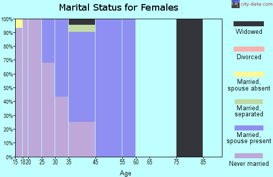 Rock Point marital status for females