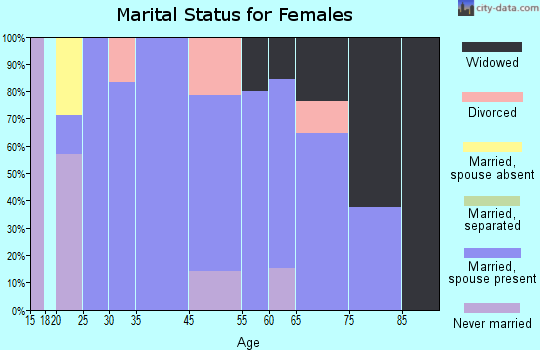 Beal City marital status for females