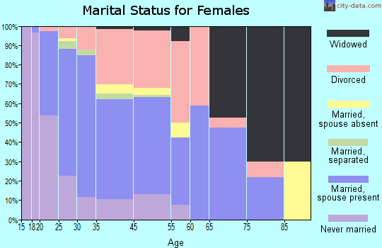 Birch Run marital status for females