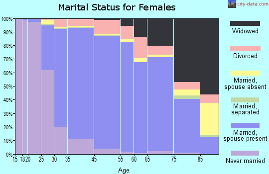 Bloomfield Township marital status for females