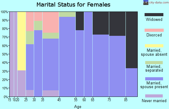 Cement City marital status for females