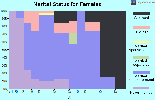 Detroit Beach marital status for females