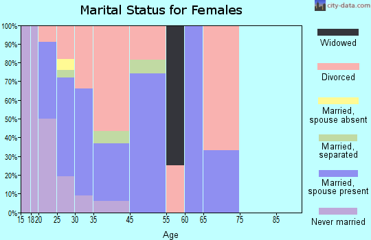 K. I. Sawyer AFB marital status for females