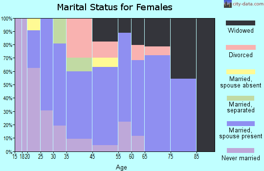 Lake Michigan Beach marital status for females